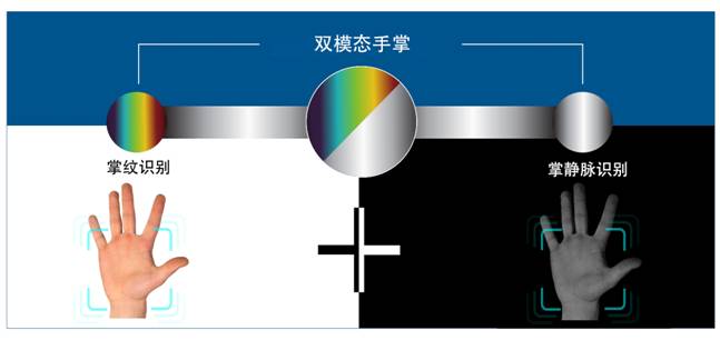 多模態(tài)手掌識別技術(shù)