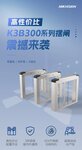 超高性價比！海康威視K3B300系列擺閘震撼來襲！