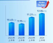 王力安防2024年半年度報告