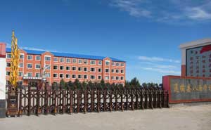 通榆八面學校 - 中出網(wǎng)-智能出入口與停車充電門戶