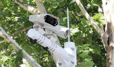 其他 - 路內(nèi)停車