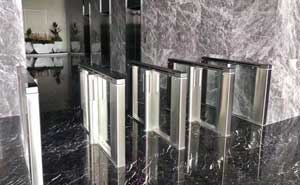 東莞保時捷大廈速通門案例