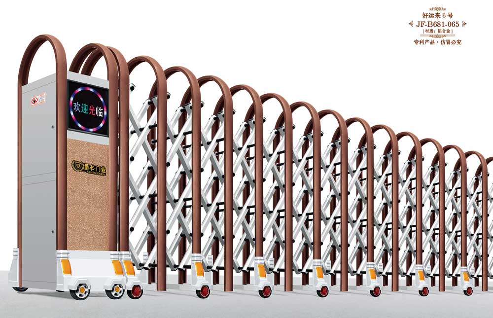 好運(yùn)來6號(hào)JF-B681-065