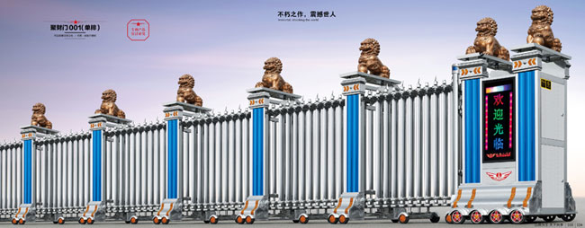 聚財門001(單排)伸縮門