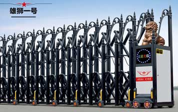 電動(dòng)伸縮門 - 雄獅一號(hào)伸縮門