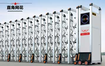 電動(dòng)伸縮門 - 直角網(wǎng)花伸縮門