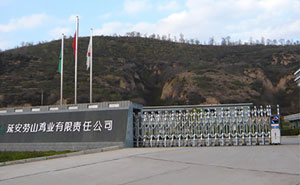 延安勞山雞業(yè)有限責(zé)任公司伸縮門(mén)案例