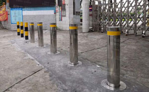 南海區(qū)獅山鎮(zhèn)七甫小學(xué)升降柱案例