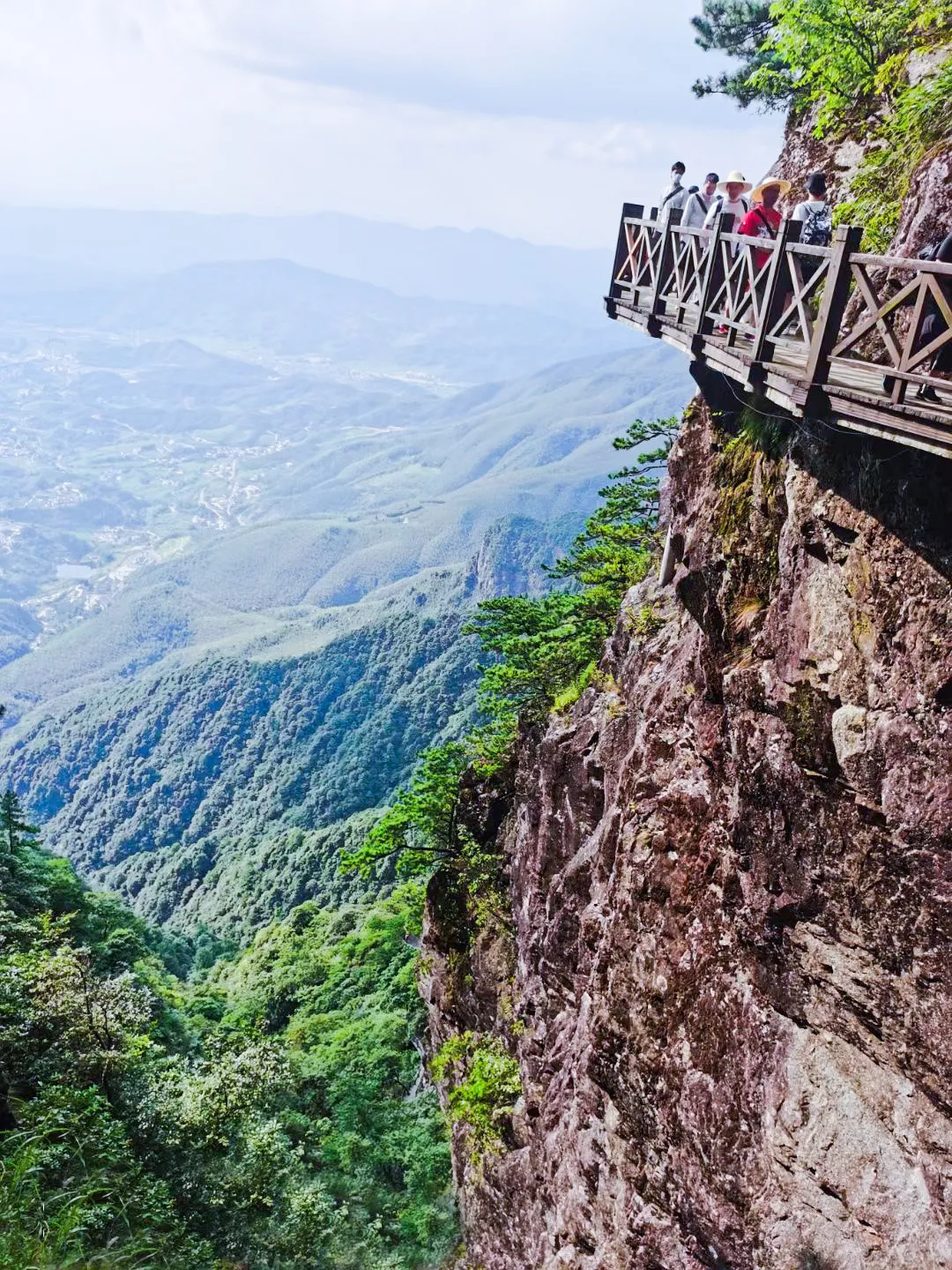 滿目蒼翠，對(duì)久居城市鋼鐵森林的人來說，這顏色極為舒適