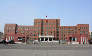 沈陽(yáng)市蘇家屯區(qū)人民政府伸縮門工程案例