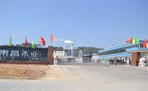 欽州市大寺東昌木業(yè)電動伸縮門案例 - 中出網(wǎng)-智能出入口與停車充電門戶