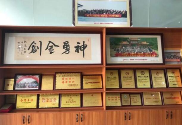 載譽(yù)前行|勇創(chuàng)智能榮獲伸縮門十大品牌、同時(shí)也收獲電動(dòng)平移門十大品牌、別墅庭院大門十大品牌等榮譽(yù)稱號(hào)！