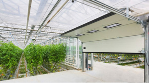 晨農(nóng)集團(tuán)溫室提升門