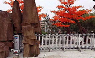 湖北陽(yáng)新藍(lán)天雙語(yǔ)學(xué)校伸縮門(mén)工程案例