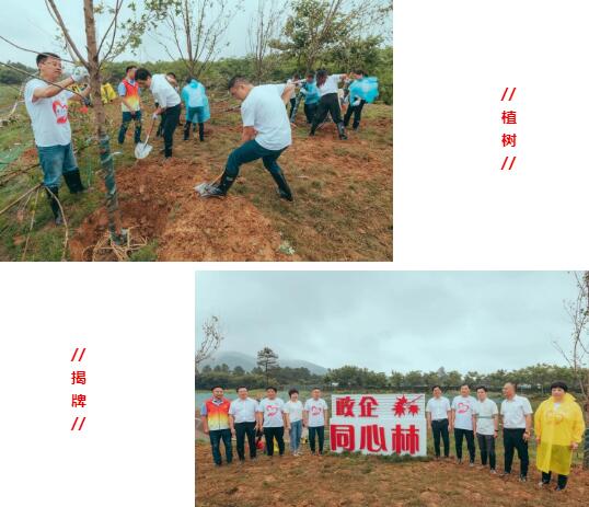 江蘇國強(qiáng)植樹和揭牌