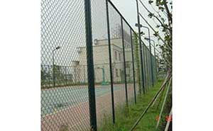 運(yùn)動場館型圍欄