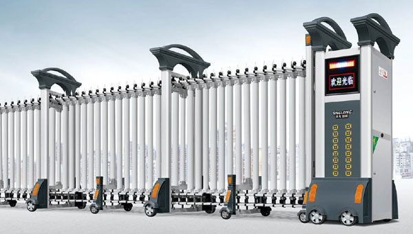 其他 - 歐羅寶盾-221503-C2