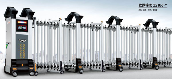 其他 - 歐羅錦龍-22186-Y