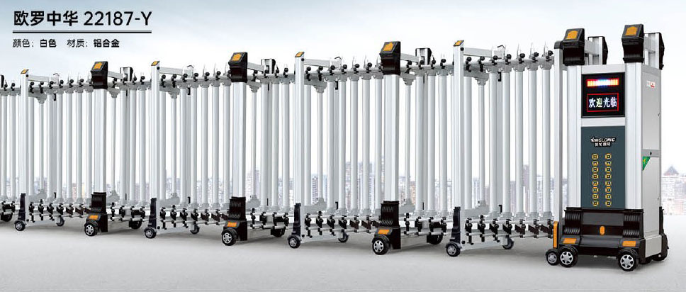 歐羅中華-22187-Y