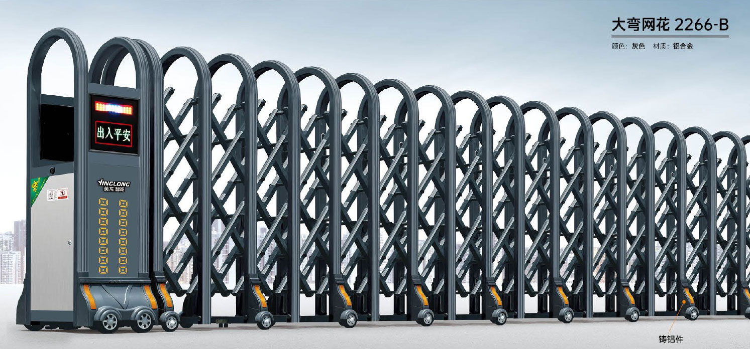 大彎網(wǎng)花-2266-B