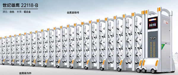 其他 - 世紀(jì)雄鷹22118-B