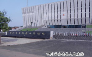 安岳法院 - 中出網(wǎng)-智能出入口與停車充電門戶