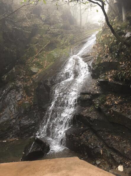 FAAC集團年會活動