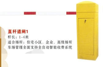 直桿道閘