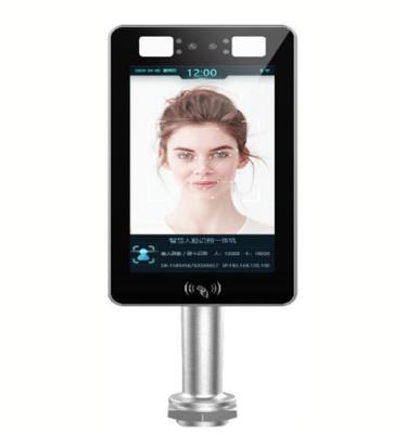 其他 - 雙目平板