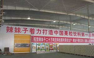 湖南辣妹子食品股份有限公司快速門案例 - 中出網(wǎng)-智能出入口與停車充電門戶