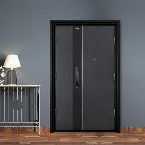 其他 - 入戶門-K9GBF-Z-S0102DH