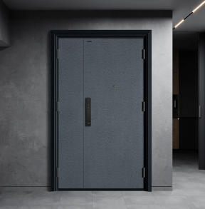 其他 - 入戶門-K9GBF-Z-0102