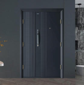 其他 - 入戶門-K9GBF-P40-0102MM