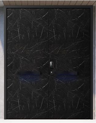 其他 - 入戶門-楓丹白露DK002