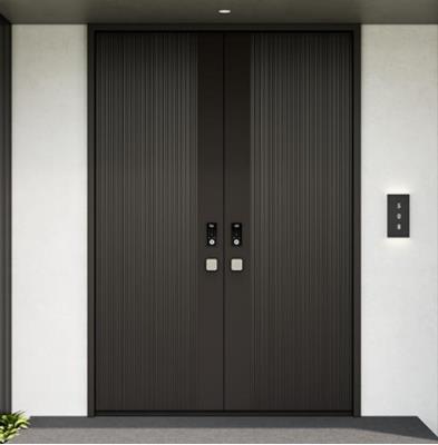 其他 - 入戶門-恒河流金DK004