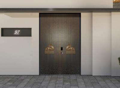 其他 - 被動(dòng)式系統(tǒng)門-皇士金盾被動(dòng)門-006