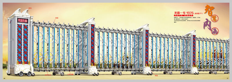 龍霸F1電動伸縮門