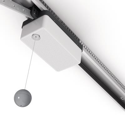 上翻式電動車庫門SPY