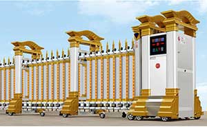 STL 300A不銹鋼電動(dòng)伸縮門(mén)