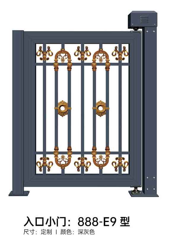 入口小門(mén)888-E9型