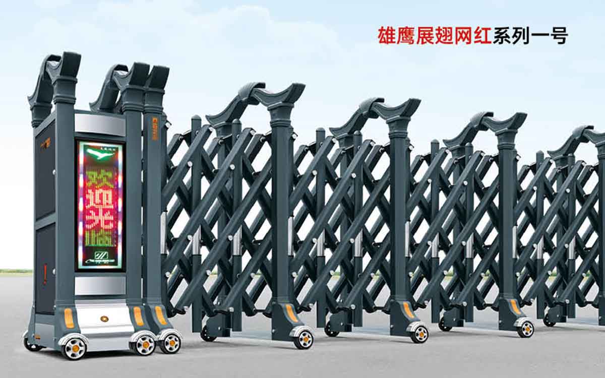 雄鷹展翅網(wǎng)紅系列一號(hào)
