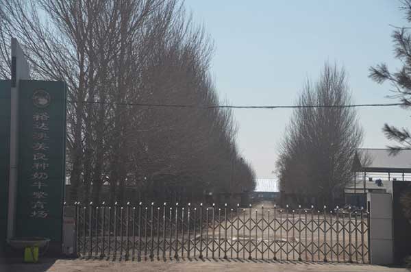 綏化裕達澳美良種奶牛繁育場電動伸縮門案例 - 中出網(wǎng)-智能出入口與停車充電門戶