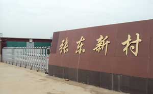 衡水市景縣龍華鎮(zhèn)張東新村新居民小區(qū)電動(dòng)伸縮門(mén)案例