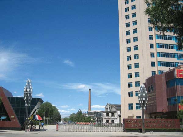 朝陽東風(fēng)朝陽柴油機有限責(zé)任公司伸縮門案例 - 中出網(wǎng)-智能出入口與停車充電門戶