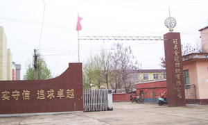 冠縣金冠紡織有限公司伸縮門(mén)案例