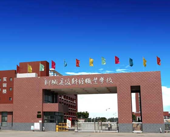 聊城高級財經學校電動伸縮門案例 - 中出網-智能出入口與停車充電門戶