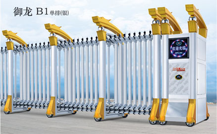 御龍B1單排-銀電動門