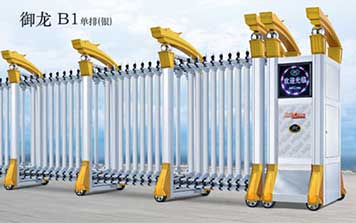 御龍B1單排-銀電動(dòng)門(mén)