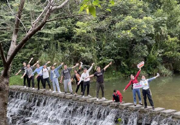 狄耐克的程序員們