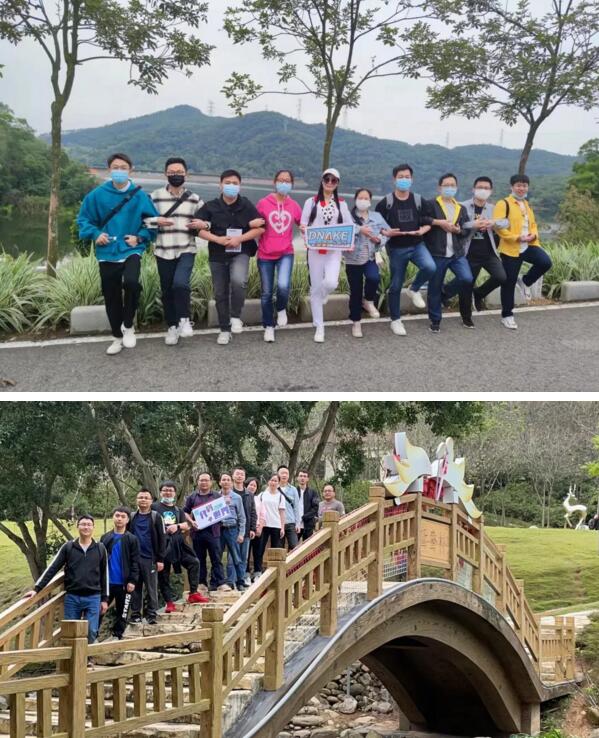 狄耐克的程序員們